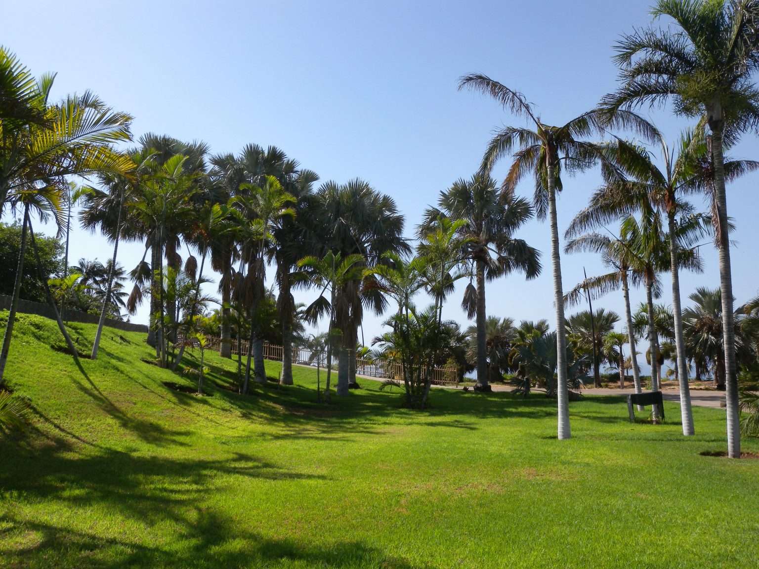 Entrada Palmetum Santa Cruz