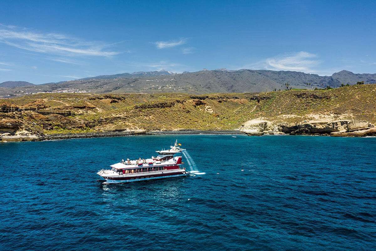 Excursión Royal Delfín