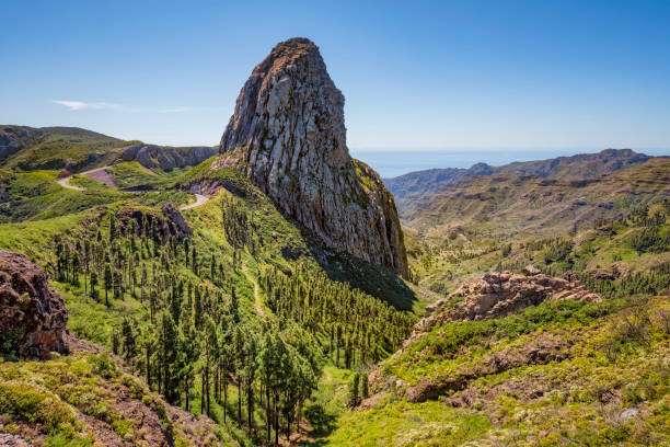 Excursión a La Gomera