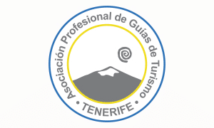 Logo Apit