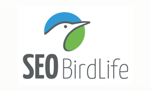 Logo Seo Bird